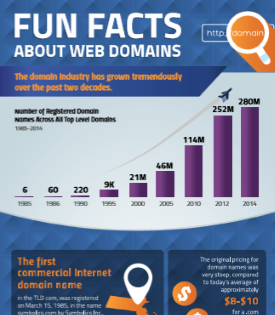 same-day-delivery-web-domain-facts